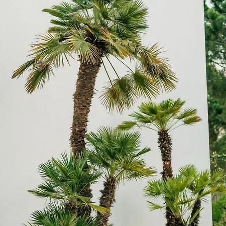 Elite Bay Durres Hotel 4*