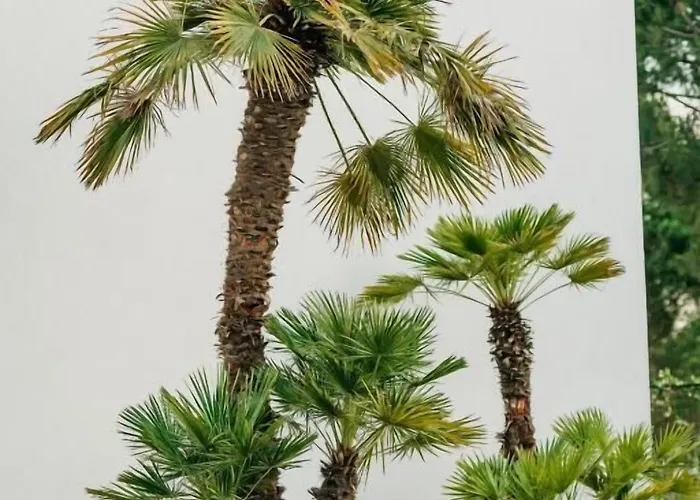 Elite Bay Durres 酒店 4*